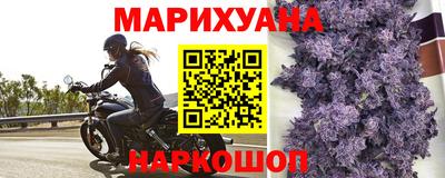 индика Новокубанск