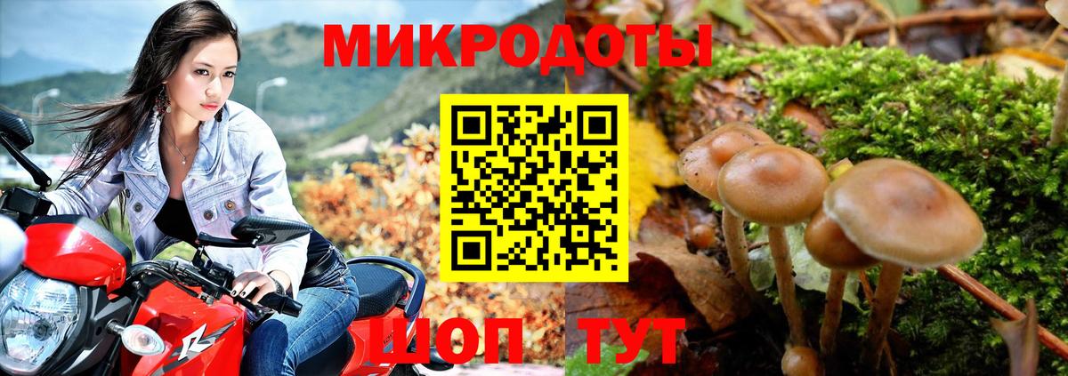 Галлюциногенные грибы ЛСД Новошахтинск