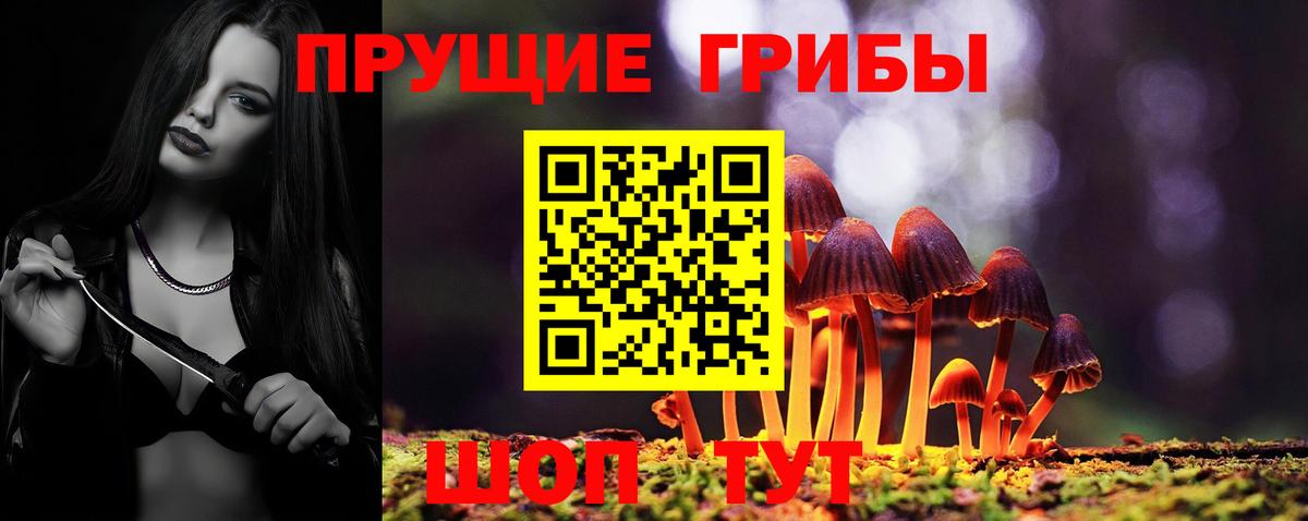 Псилоцибиновые грибы Psilocybine cubensis  Вход с VPN  Новошахтинск 